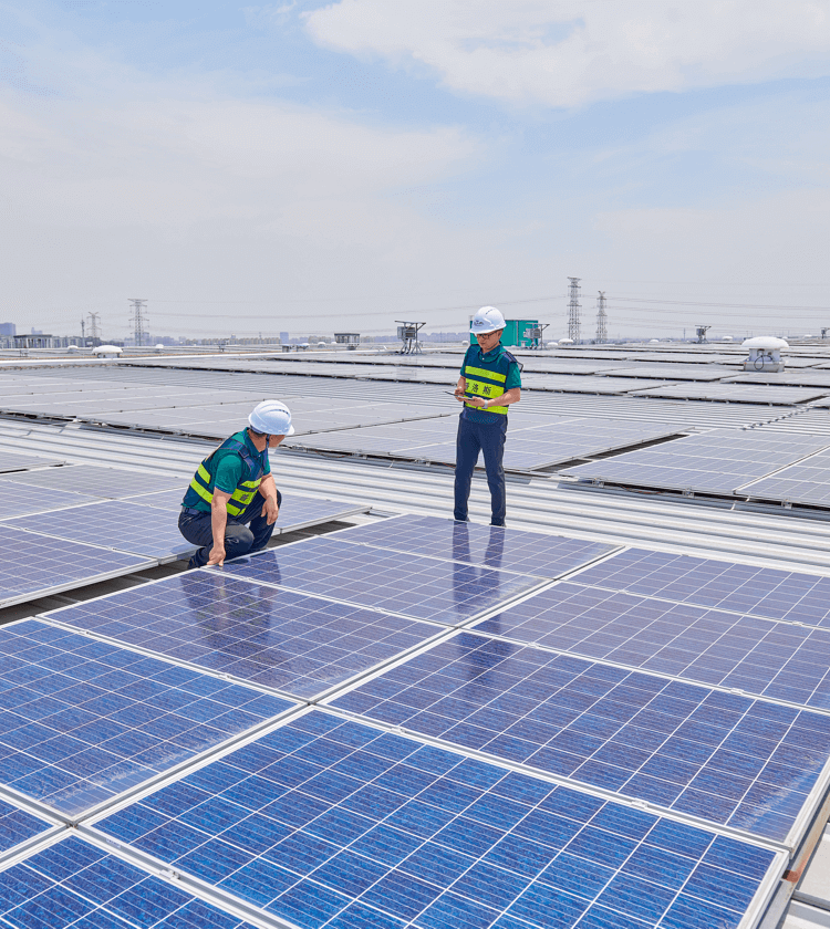 �����ִ�ƽ̨|�����ά