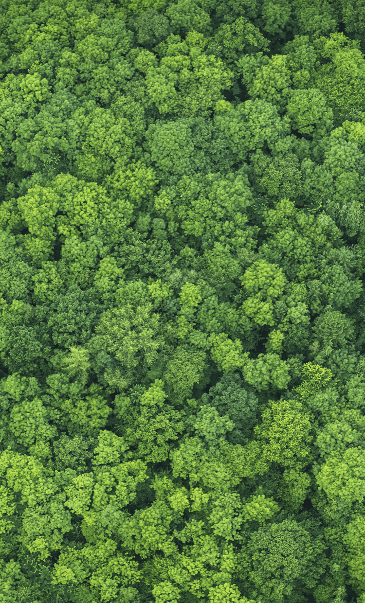 ����-���α����������������������