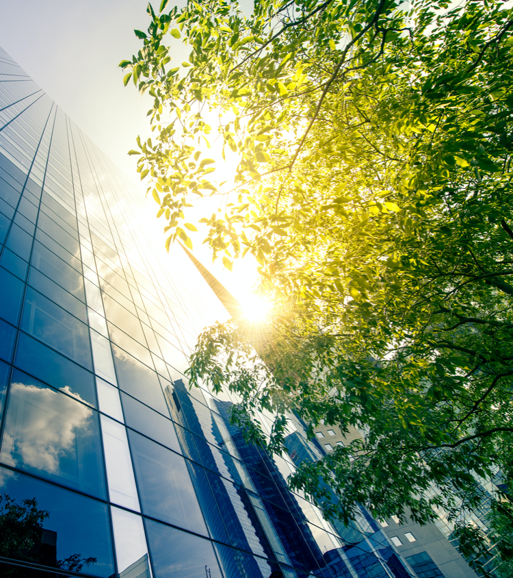 ��˾����|˽ļͶ�ʻ���������˾|��Ӧ�����ڽ���ƻ�